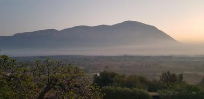 EL GUARDIÀ DEL MONTGÓ: hui dijous 25, boira per terra esperant el sol trencadís