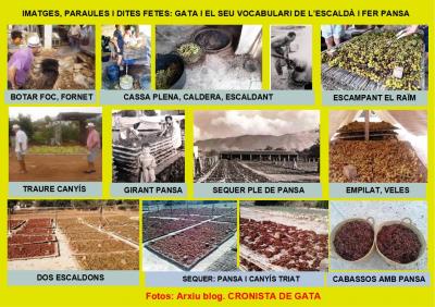 GATA, AGOST, TEMPS DESCALDAR. Vocabulari del vell costum agrícola. Que la joventut ho conega GATA, AGOST, ESCALDAR, PANSASón paraules de l’estiu que tots els gaters deuríem de reivindicar, que la joventut ho conega, que no es perda. Si encara algunes fam