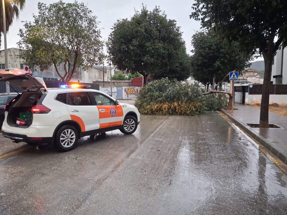 EL REVENTÓ TÈRMIC (ESCLAFIT HUMIT) DEIXA NOMBROSOS INCIDENTS I 17 LITRES A GATA. Demà dimecres pel tardet, l'històric i singular eclipsi de sol. Habilitaran el camp de vol (antic camp de tir)