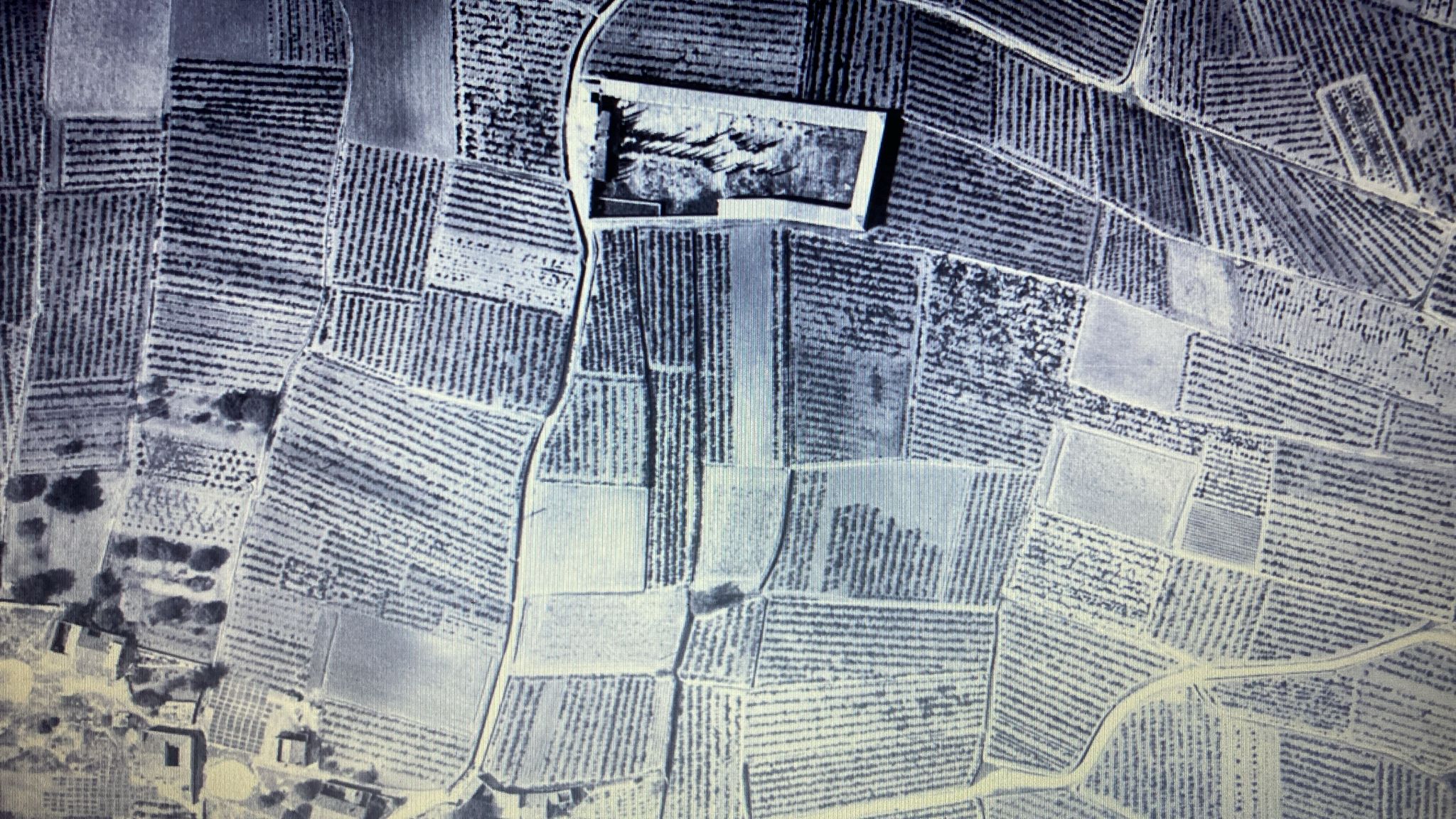 CEMENNOU1961JuanjoXàbia1.jpg