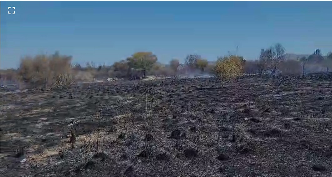 IMPRESSIONANT I DEVASTADOR INCENDI A LES VALLS AL VOLTANT DEL BARRANC. Afectava als termes de Xàbia, Gata i Jesús Pobre (Dénia)
