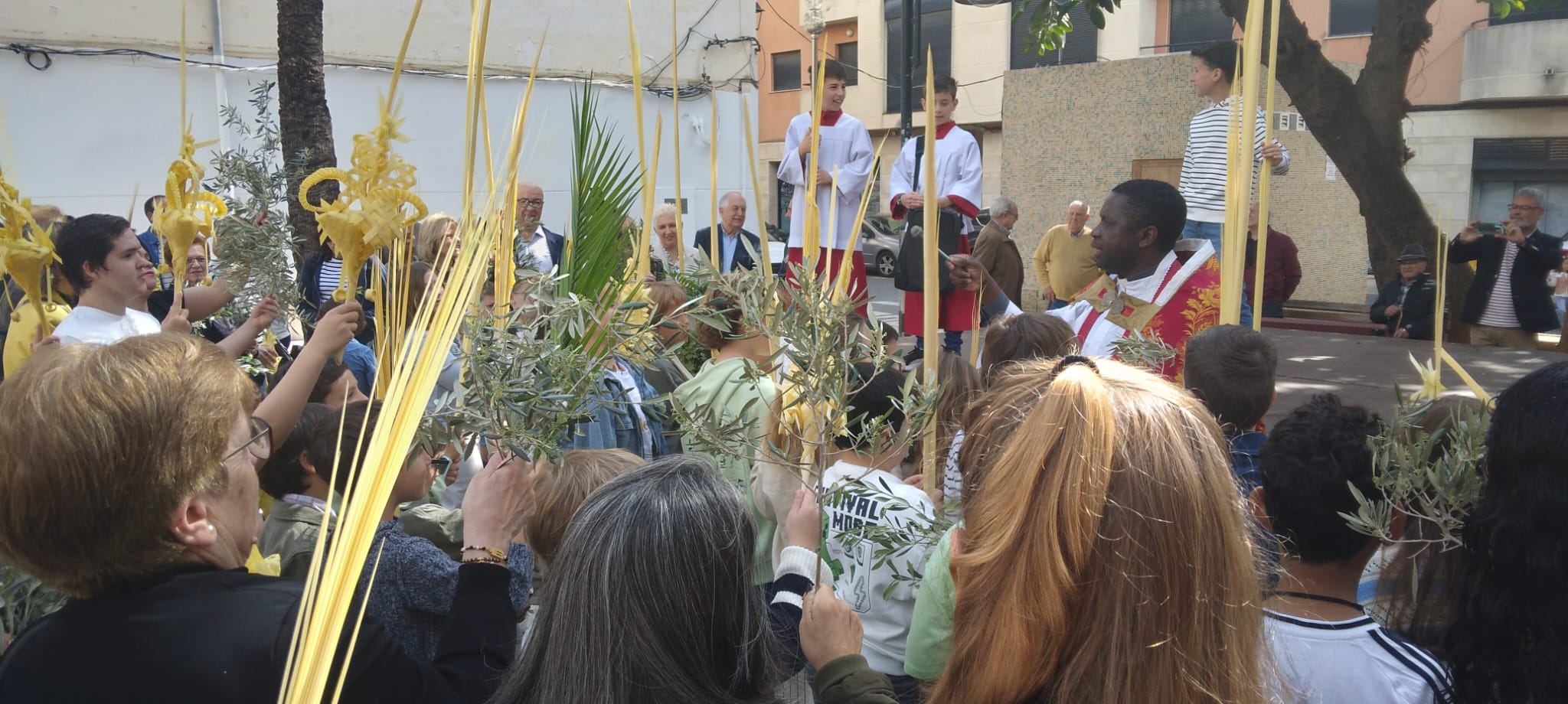 LA BENDICIÓ I PROCESSÓ DE DIUMENGE RAMS OBRI LA SETMANA SANTA 2025 A GATA