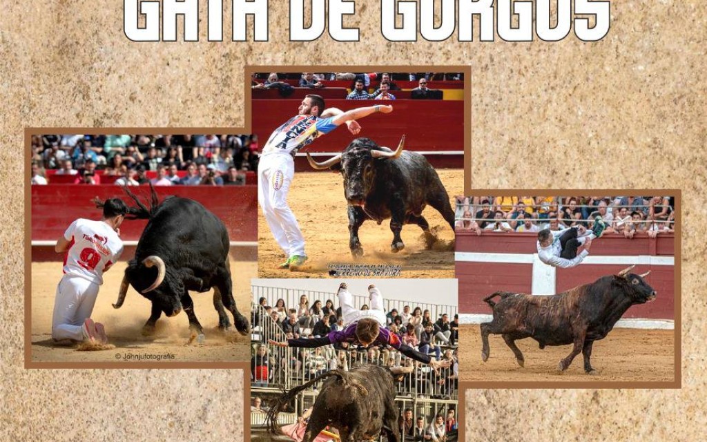 DEMÀ ARRIBEN LES FESTES DE SANT MIQUEL, PATRÓ TITULAR DE LA PARRÒQUIA. DILLUNS FESTA LOCAL: vaques, sopars, correfoc, espectacles, retalladors, cavalls, processó i castell