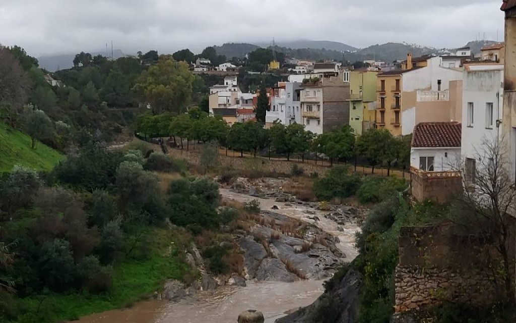 A GATA TORNA A BAIXAR AIGUA PEL RIU. HA VINGUT EL RIU A LES 9:45 HORES. Al poble ja rondem el centenar de litres només hui. L'última vegada del riu, el dia de sant Josep