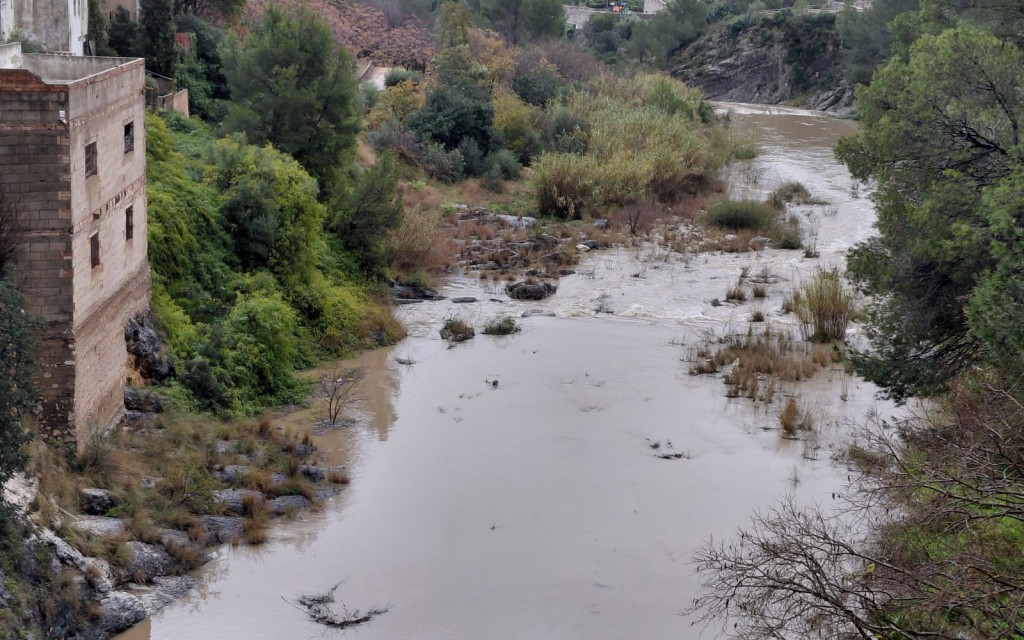 A GATA TORNA A BAIXAR AIGUA PEL RIU. HA VINGUT EL RIU A LES 9:45 HORES. Al poble ja rondem el centenar de litres només hui. L'última vegada del riu, el dia de sant Josep