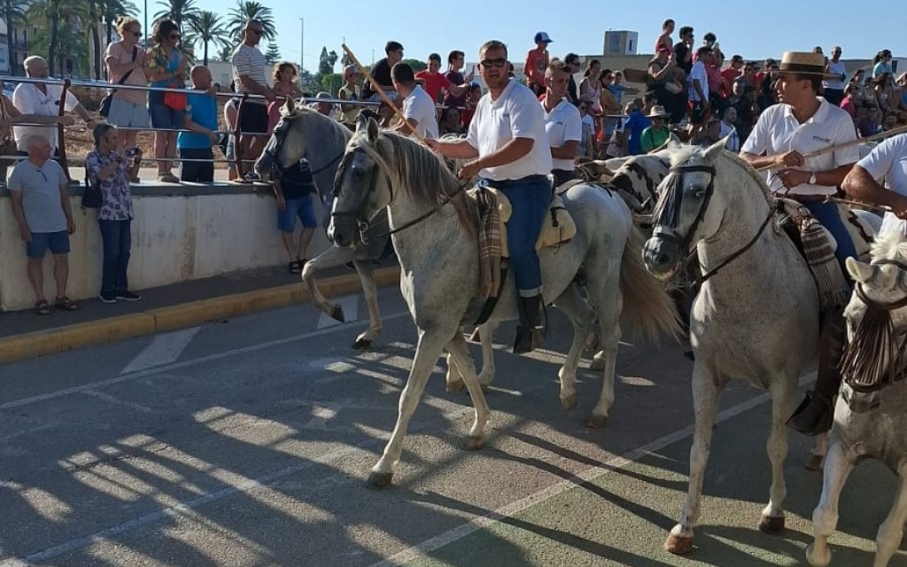 FESTES DE GATA 2026, PENÚLTIM DIA. AHIR DIA DEL BOU, HUI DELS MAJORS, OFRENA DE FLORS, CONCERT DE REVETLA I CORDÀ. ¡Aquelles ofrenes i revetles!