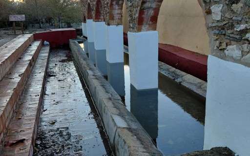GATA RECULL 76,8 LITRES AMB ELS TRES DIES DE PLUJA. El dia de Nadal de 1926 va fer una gran nevada