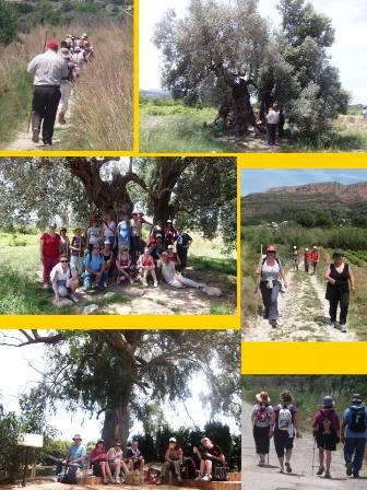 RUTA DE LES TRES ERMITES: i IV: Del Pòpul a Gata