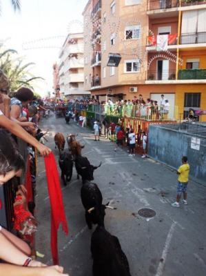 LA PREMSA PARLADEL PLENARI: BOUS I PRESSUPOST A GATA