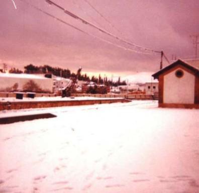 AQUELLA NEVADA DE FA 30 ANYS (12-2-1983)