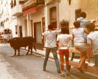 FOTOGRAFIES ANTIGUES (Gata en el record) -1.214-