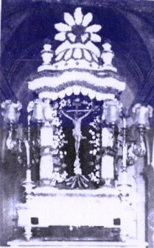 GATERS I GATERES AMB CARRERS DEDICATS ( II )