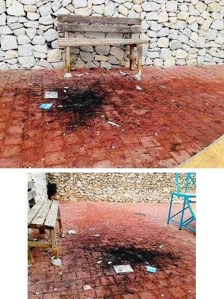 QUÈ TROBEU?I EL PARC DEL NOU VIAL DE GATA ESTAVA BONIC(Foto-denúncia)