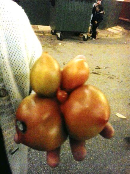 IMATGES CURIOSES: quina tomaca més rara!!