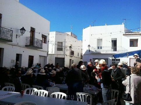 ELS MILLORS VINS DEL VIII POSA VI, CATA VI (FESTES SANT ANTONI GATA 2015)