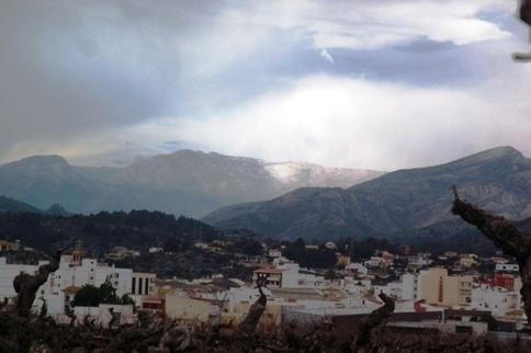 IMATGES CURIOSES: Gata, vista d'una altra manerai amb neu al fons