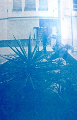 FOTOGRAFIES ANTIGUES (Gata en el record) -Nº 1.690, correspon al 2/12/2014-