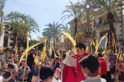 ÀLBUM DE LA PROCESSÓ DE DIUMENGE RAMS, GATA