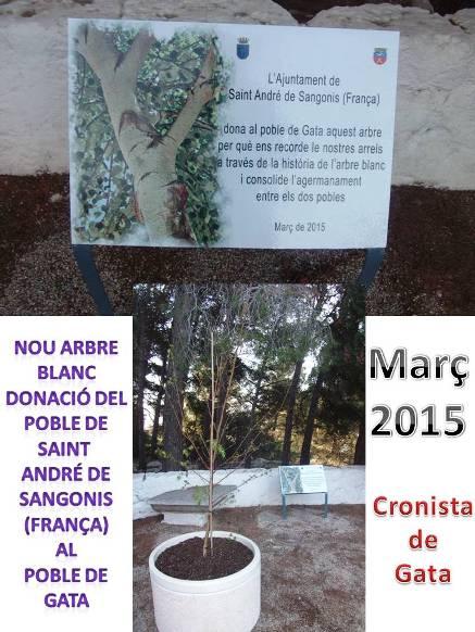 EL POBLE DE SAINT ANDRÉ DE SANGONIS DONA UN ARBRE BLANC AL DE GATA