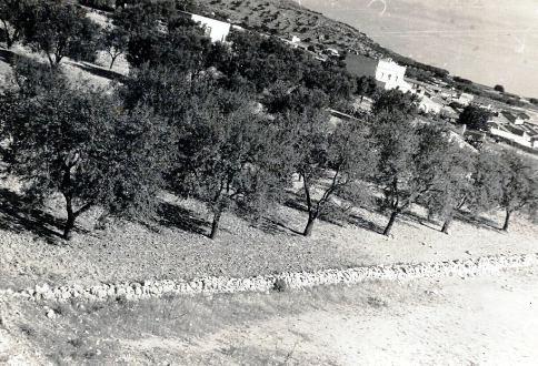 FOTOGRAFIES ANTIGUES (Gata en el record) -1.758, la del passat dia 8/2/2015-