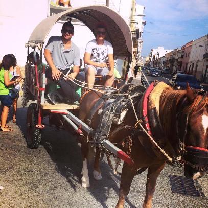 GATA: JA ESTAN REPARTITS ELS PROGRAMES DE FESTES. Ara a comprar-los als llocs assenyalats