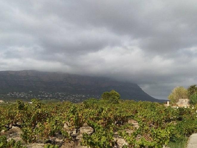 GATA: VISTES D'UN DIA CAP AL MONTGÓ, ahir 17,30 h. ( V )