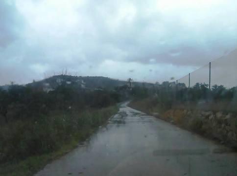 AL FINAL DE L'EPISODI PLUJÓS D'AHIR ES RECULLEN A GATA 21,8 LITRES