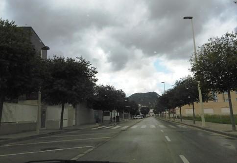 GATA: HUI DISSABTE LA LLEUGUERA PLUJA (0,8 litres) HA BANYAT EL TERRENY