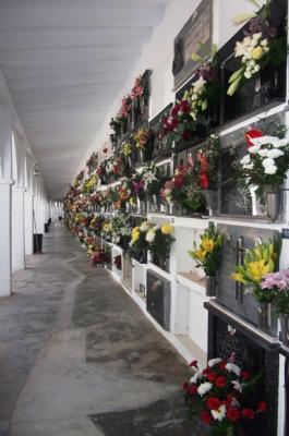 HUI, TOTS SANTS I DEMÀ, ELS FIDELS DIFUNTS: tradicions centenàries