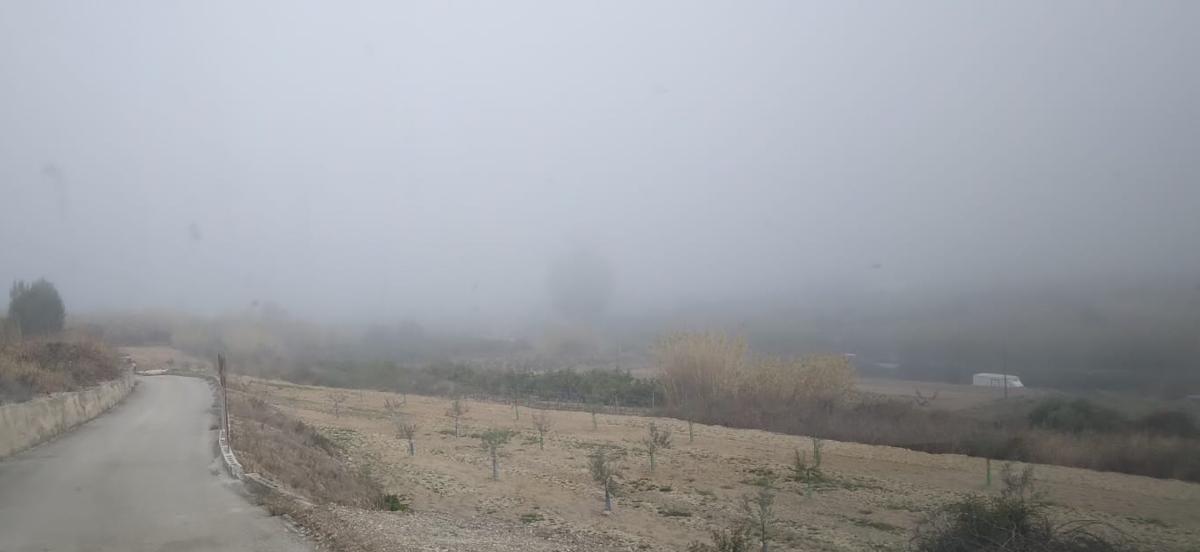 BOIRA INTENSA A GATA FA "DESAPARÉIXER" EL MONTGÓ. A primeres hores del dia