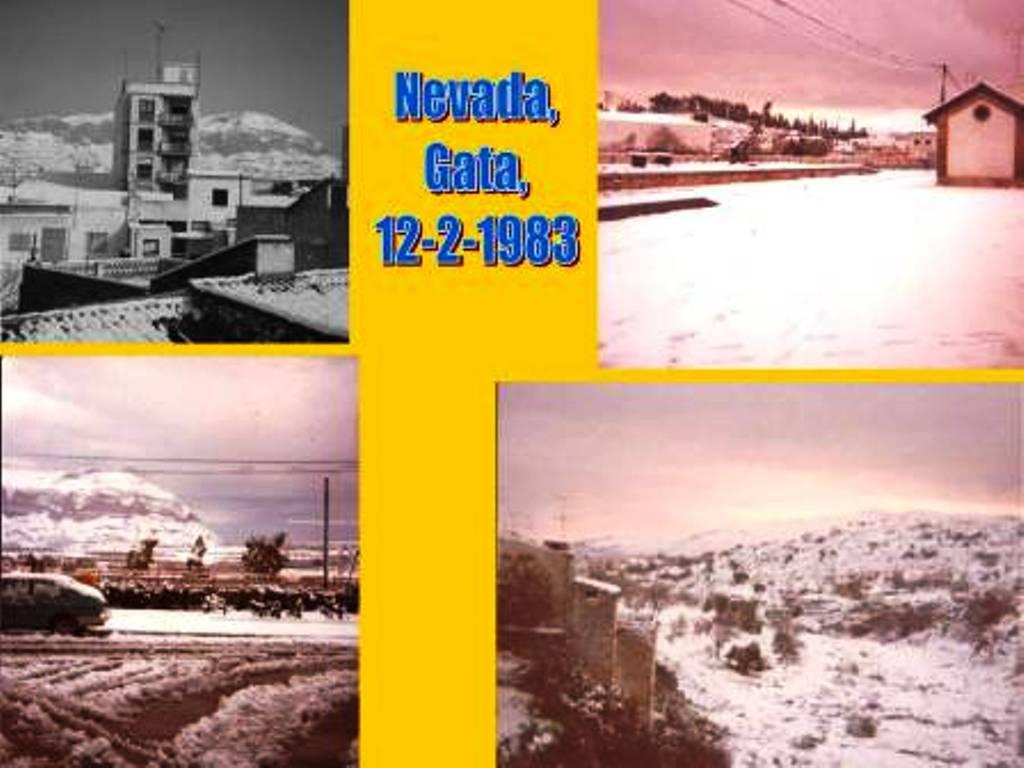 HUI, 42 ANIVERSARI DE LA GRAN NEVADA DEL 83. Era darrer dissabte