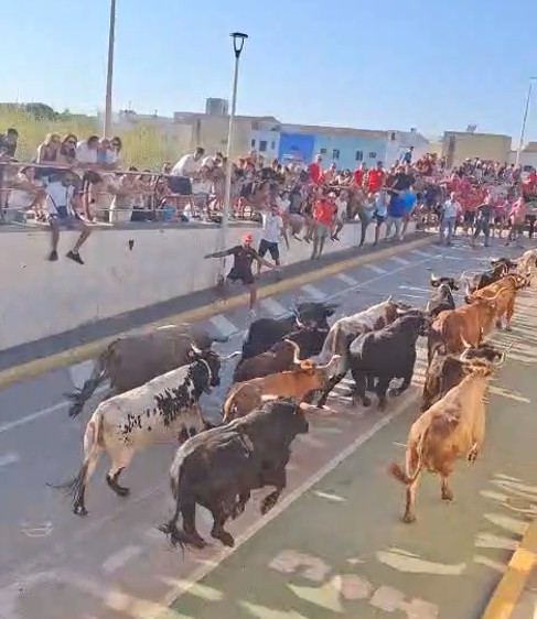 FESTES GATA: HUI DIJOUS, PER ALS XIQUETS I LES DISFRESSES (dia 4rt oficial)