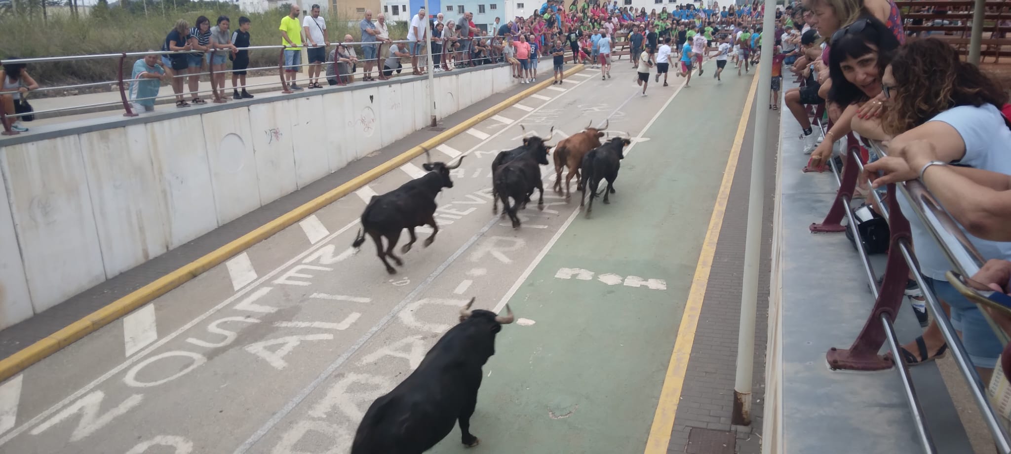 FESTES GATA: DIMARTS, BOUS I PAELLES